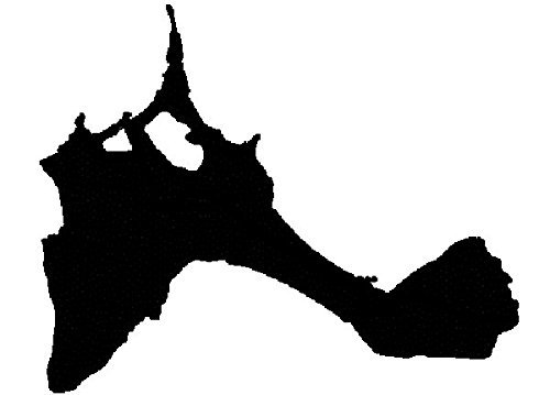 2 adhesivos de vinilo para el coche o la moto 