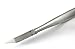 Blizzard Podiatry Ingrown ARROW Pointed Toe Nail Clipper Nipper - Professional Chiropody Cutter Instrument - 15cm GERMAN Stainless Pedicure Plier - CE Approved Foot Care Tool With FREE Nail Dresser GIFT