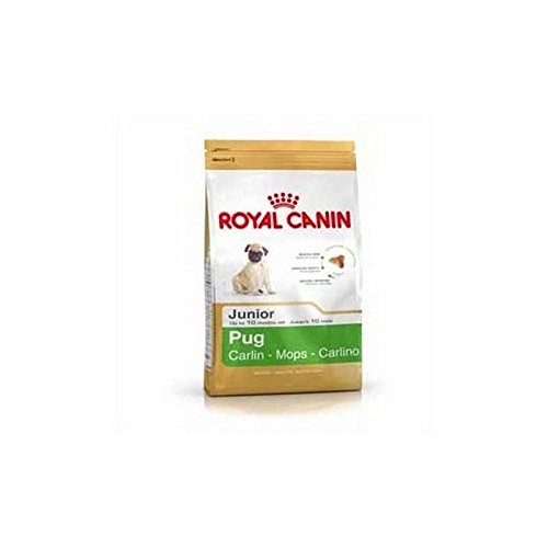 Preisvergleich Produktbild Royal Canin Mops Junior (1.5Kg)