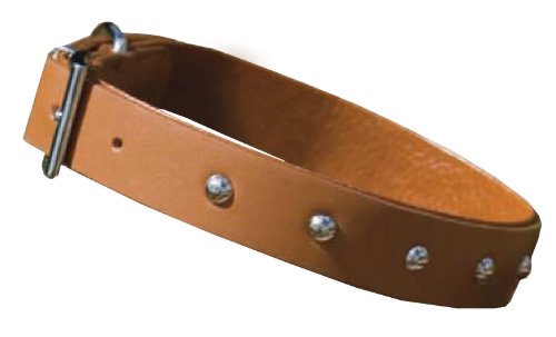 Armitage-Leads-Collars-Gb-Sherwood-Collar-Studded-Pu-Faux-Leather-Tan