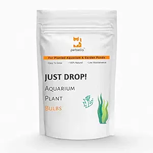 Petsella? Just Drop! Live Aquarium Plant Bulbs Easy To Grow Seeds (Pack of 5 Bulbs)