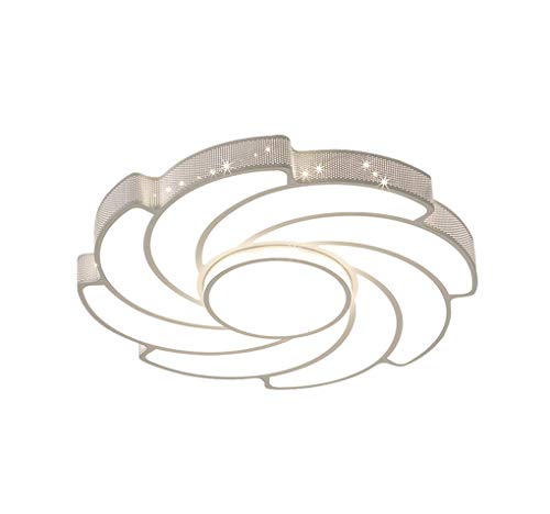 Preisvergleich Produktbild Hai Ying LED deckenleuchte, Schlafzimmer Lichter Wärme Romantische Kreative Persönlichkeit Wohnzimmer Lichter Einfache Moderne Deckenleuchte (Farbe: # 1-Durchmesser 60 cm)