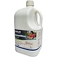 Haxon Swimming Pool Pond, Spa, Fountain Algaecide/algicide Cleaner (5 Liters)