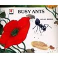BUSY ANTS