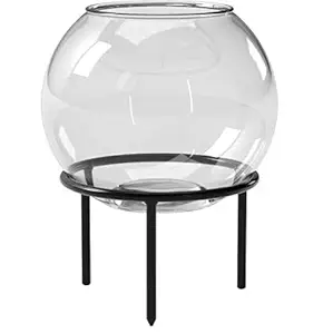SHOBHANA ENTERPRISES Glass Fish Bowl with Stand (6 
