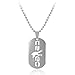 Produktbild CSGO Dogtag Halsket Logo Silber