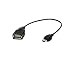 Produktbild Panasonic USB 2.0 A – USB Kabel (USB A, männlich/weiblich, Schwarz)