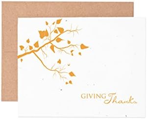 Ruff House Art Fall Tree Thank You Wildflower Seeded Letterpress Greeting Card Box Set