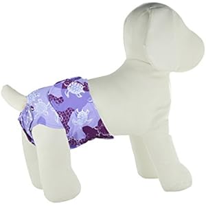 Playapup Hund Windel für Inkontinenz/HOUSE Training