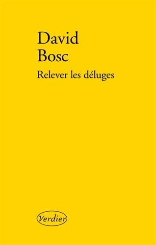 couverture de : Relever les d&eacute;luges