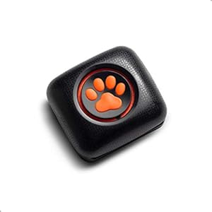 Pitpat 2 – Monitor de Actividad para Perros
