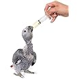 Petzlifeworld Hand Feeding Syringe with Curve Tip for Baby Birds, Puppy, Kitten, Dog, Cat & Hamster (12 ml)