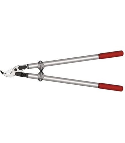 Astschere Felco 211-60 600 mm (Neu und originalverpackt) in Hirschthal für CHF 59 - nur Abholung