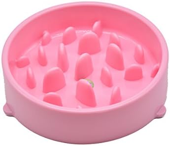 Orchidtent Slow Feeder Dog Bowl - Slow Eating Dog Bowl/Fun Interactive Feeder/Slow Feeding Bowl with Anti-skid bottom for Dog Cat(L,Pink)