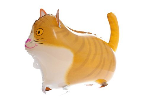 Preisvergleich Produktbild Katze Tier Wanderschuhe Ballon-partei Folienballons