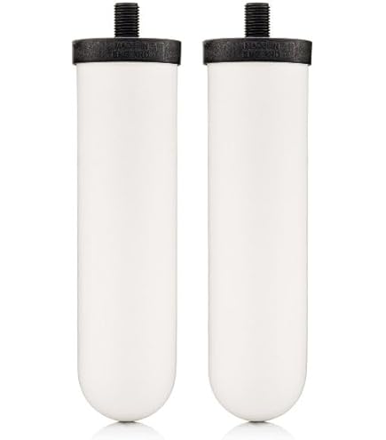 Filtro Repuesto Doulton Super Sterasyl Purificador De Agua Color Blanco