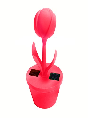 Preisvergleich Produktbild Outlook Design v6u0100060 Tulip Light-Umgebung A Lade Solar, Rot, Kunststoff