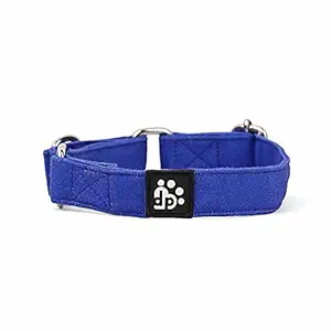 Dear Pet Classic Martingale Blue Dog Collar for Small, Medium and Large Dogs (Suitable for All Breeds) (Medium)