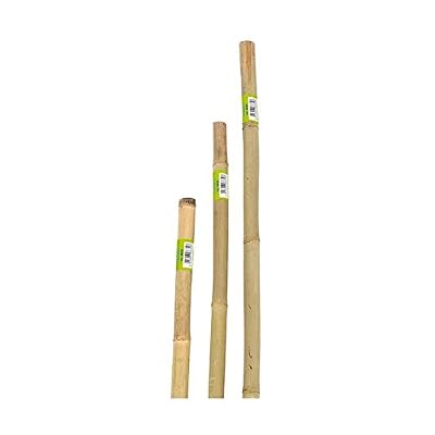 Verdemax 6638 22–24 mm Diamètre 240 cm Hauteur Piquet Heavy Duty Support en bambou