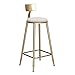 Produktbild Barhocker Stuhl Fußstütze Barhocker Frühstücksstuhl Hoher Hocker und Kissen Sitzlehne Komfort Küche Frühstückstheke Gewächshaus Gold + Graue Matte Esszimmerstühle Café Bar Counter Hocker