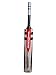 Gray Nicolls Oblivion GN9 Junior English Willow Cricket Bat RS.9999.00