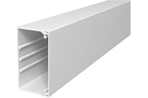 OBO Bettermann WDK60110RW WDK Goulotte passe-câble en PVC Blanc pur 60 x 110 x 2 000 mm