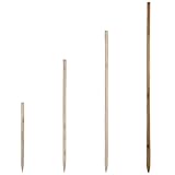 FÜR JEDE KUGEL: Je nachdem welche Optik Sie bevorzugen. Finden Sie für Ihre Dekorationskugel den perfekten Stab. UNSERE EMPFEHLUNG: Je größer die Kugel, desto größer der Stab.