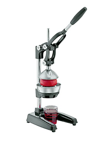 Cilio Saft Granatapfelpresse IO