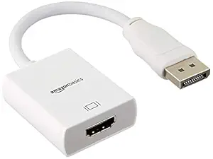 AmazonBasics DisplayPort (not USB) as input to HDMI Adapter as output Cable (Uni-directional cable: This cable does not support HDMI input to DisplayPort output)