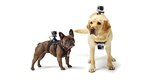 GoPro Zubehör Fetch Hundegeschirr (geeignet für HERO4/HERO3+/HERO3/HD HERO2/Original HD HERO/HERO) - 2