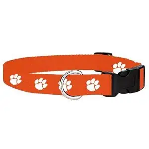 Pups&Pets Nylon Adjustable Collar Paw Print Cute Small Dogs & Puppy Collar for Mini Dogs & Cat Collar 15 MM Orange