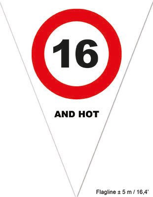 Girlande Wimpelkette 5 Meter lang mit 10 Wimpelfähnchen Schild 16
