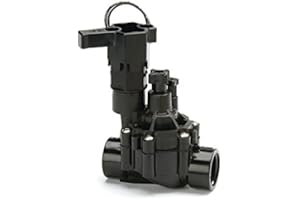 Rain Bird, valvola magnetica 100-DVF, filettatura interna da 1", con regolazione di flusso
