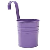 Blumen sind verzinkt und pulver für innen und außen. Kann an die Wand gehängt werden, einen Zaun oder in einem Garten für einen Garten