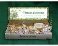 Cast Paper Art Shelf Display Blooming Expressions 48 pc. (Christmas)