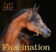 Faszination 2012: Die Schönheit des Arabischen Pferdes