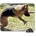 Produktbild Sheba Mouse Pad, Mousepad (Dogs Mouse Pad)