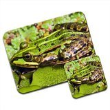 Verde de agua de rana Premium de alfombrilla de ratón y juego de posavasos de