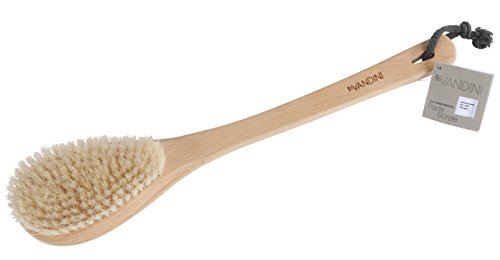 aldoVANDINI MASSAGE Naturborsten Bade Bürste - 1er Pack (1 x 1 Stück)