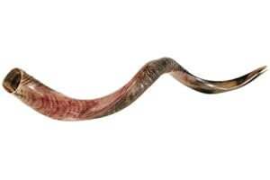 SHOFAROT ISRAEL Schofar Shofar Kosher Yemenite Horn Polished Natural Showfar Schofar Antelope Yom kippur Gift blowing instrument koscher Hupe