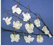 Spring/Summer Blooming Expressions Starter Asst