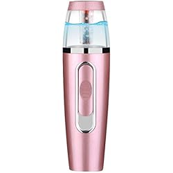 Pulvérisateur Visage,Anion Nano Mist Sprayer 30ML,Brumisateur de Poche,Mist Sprayer Rechargeable avec USB, Portable Nano Facial Mist Sprayers