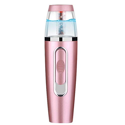 Pulvérisateur Visage,Anion Nano Mist Sprayer 30ML,Brumisateur de Poche,Mist Sprayer Rechargeable avec USB, Portable Nano Facial Mist Sprayers