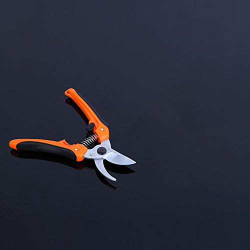 SCISSORS Shears Bypass Pruning Shears Fruit Picking Chrome Pruning Shears Garden Best For Trees Plants Hedges