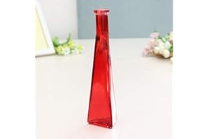Young21 Couleur Clair Mini Vase en Verre Zakkz Fleur Bouteille Ornements en Verre Fleur Arranger Décor À La Maison - Rouge