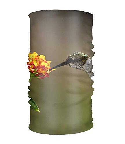 Preisvergleich Produktbild Uosliks Hummingbird Lantana Headwear Sport Stirnband Elastisches Schweißband