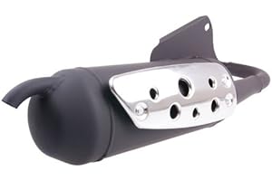 Tecnigas Silent Pro Exhaust for Hyosung SF50