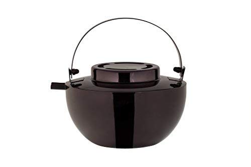 Hansa Poêle à bois humidificateur cuiseur vapeur, bouilloire