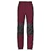 Produktbild Jack Wolfskin Kinder Rascal Winter Pants Softshell-Hose, Garnet red, 164 EU
