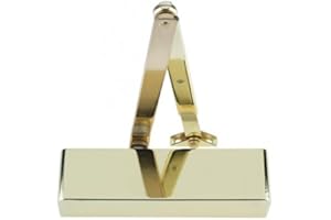 ZOO HARDWARE Zoo ZDC0024PB Brass Finish Size 2-4 Door Closer Radiused Cover